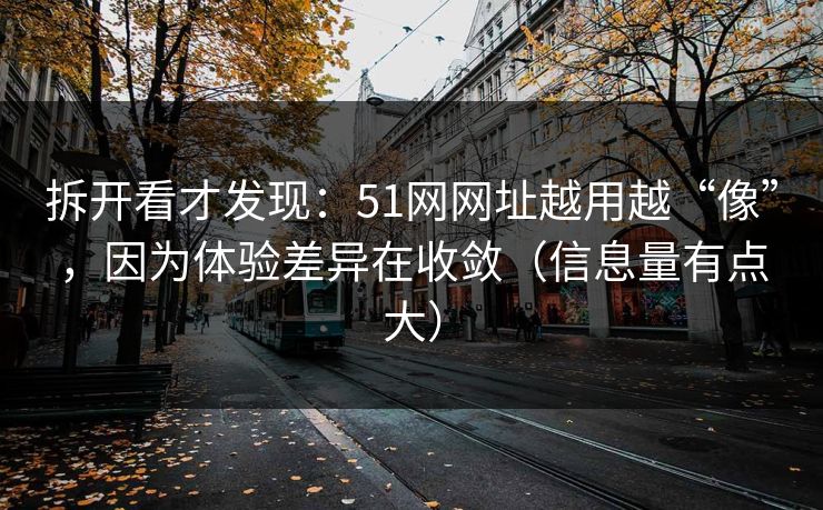 拆开看才发现：51网网址越用越“像”，因为体验差异在收敛（信息量有点大）