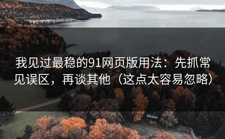 我见过最稳的91网页版用法：先抓常见误区，再谈其他（这点太容易忽略）