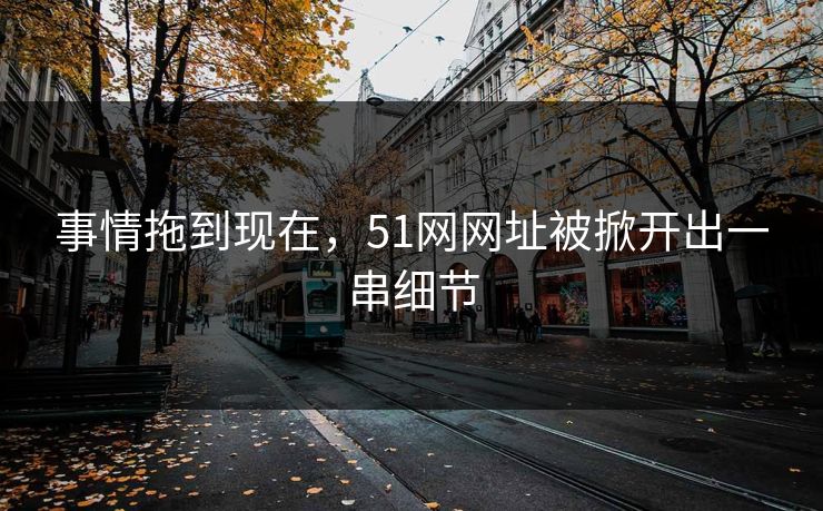 事情拖到现在，51网网址被掀开出一串细节